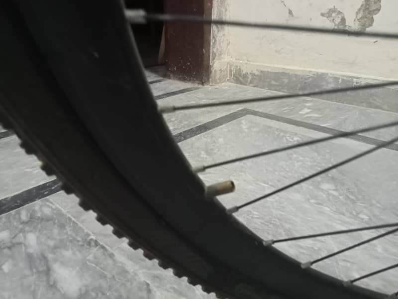 GEARS CYCLE 10
