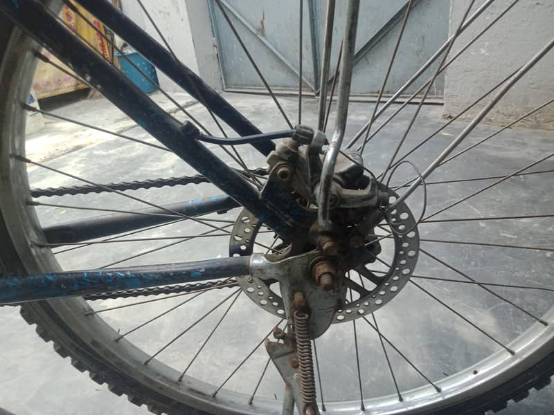 taivan cycle 2