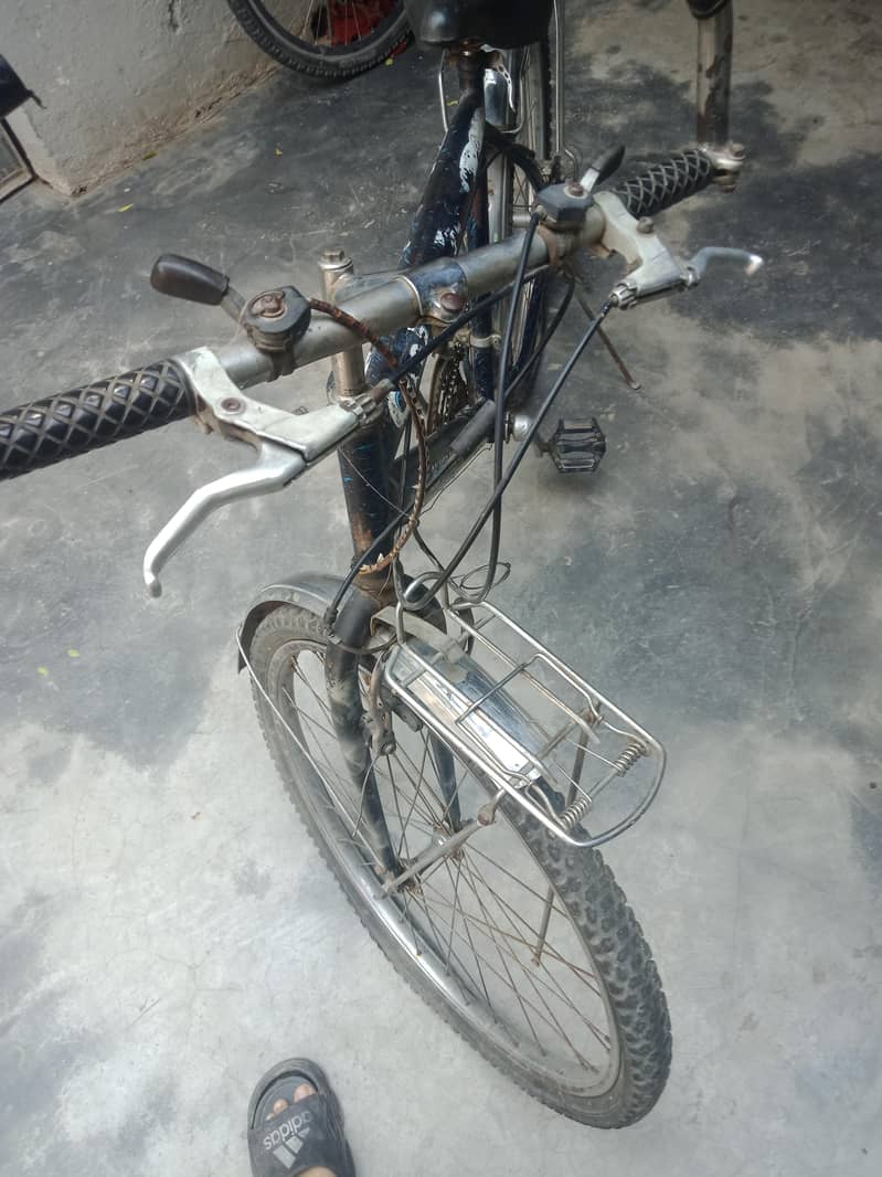 taivan cycle 3