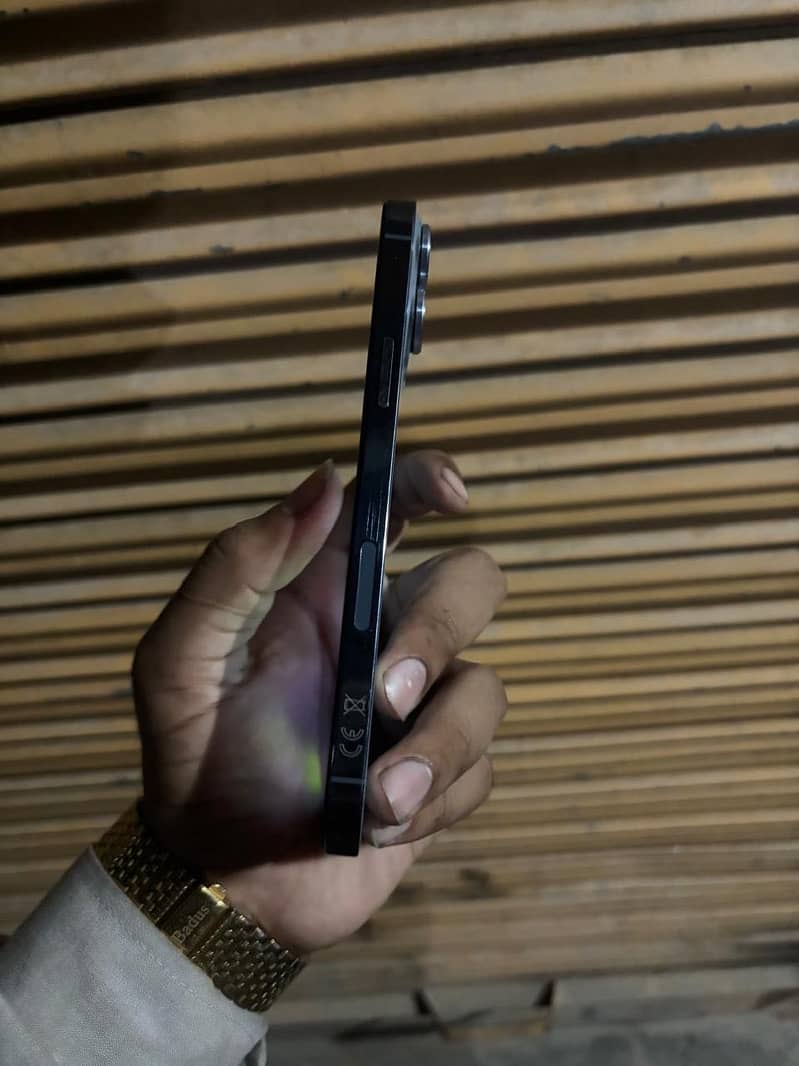 Apple iPhone 13 Pro Max 3