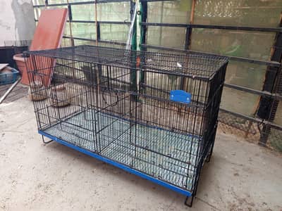 Folding Cages &  Wooden breeding boxes