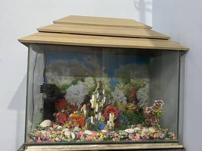 AQUARIUM