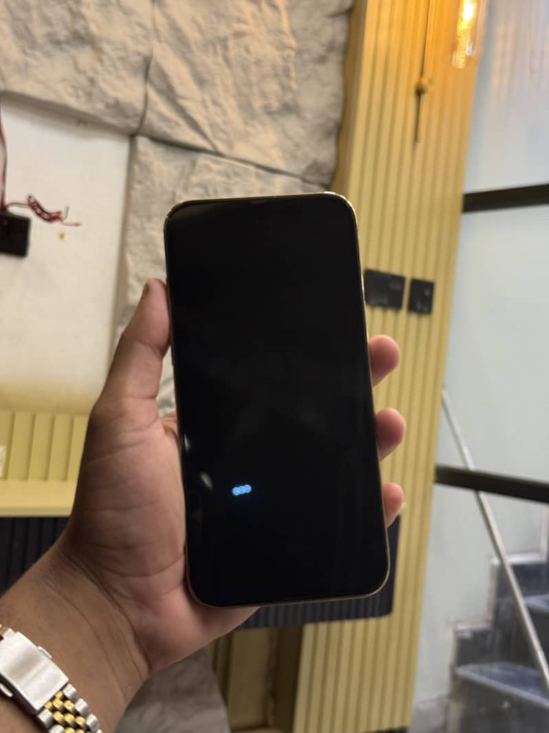 Apple iPhone 12 Pro Max 0