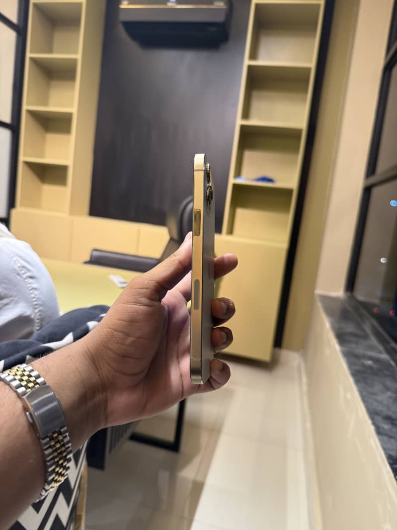 Apple iPhone 12 Pro Max 1