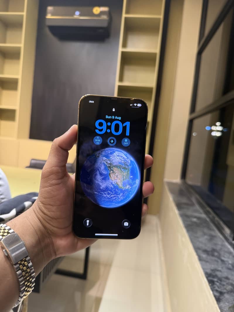 Apple iPhone 12 Pro Max 2