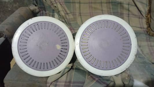 Royal Celling Fans