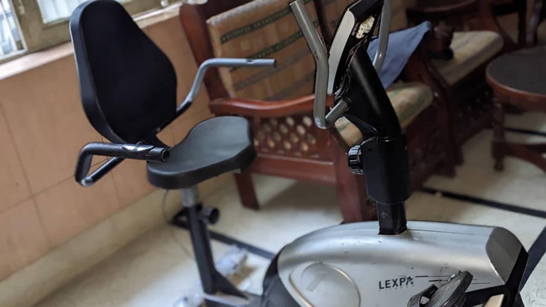 Lexpa Cycle 2