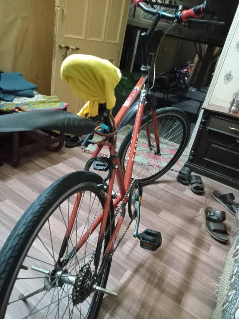bicycle 2