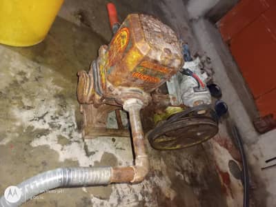 Donkey Pump 12 Volt Havvy Moter