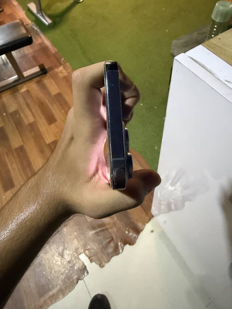 Apple iPhone 13 Pro Max 1