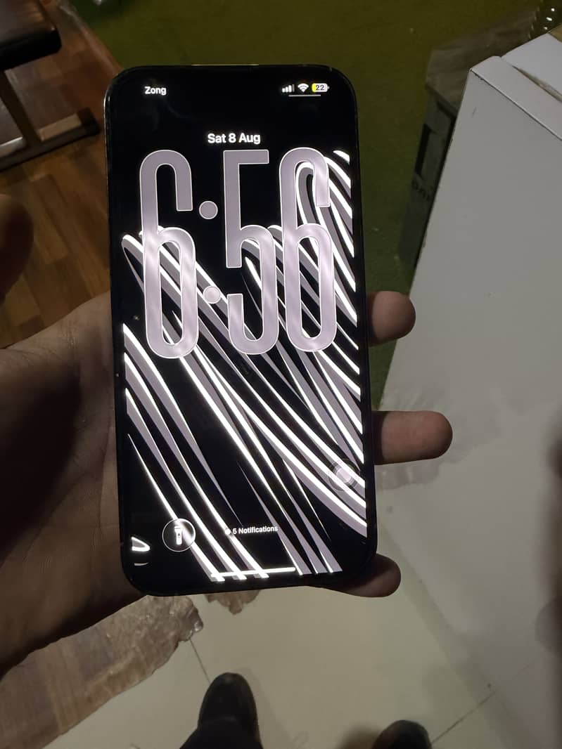 Apple iPhone 13 Pro Max 2