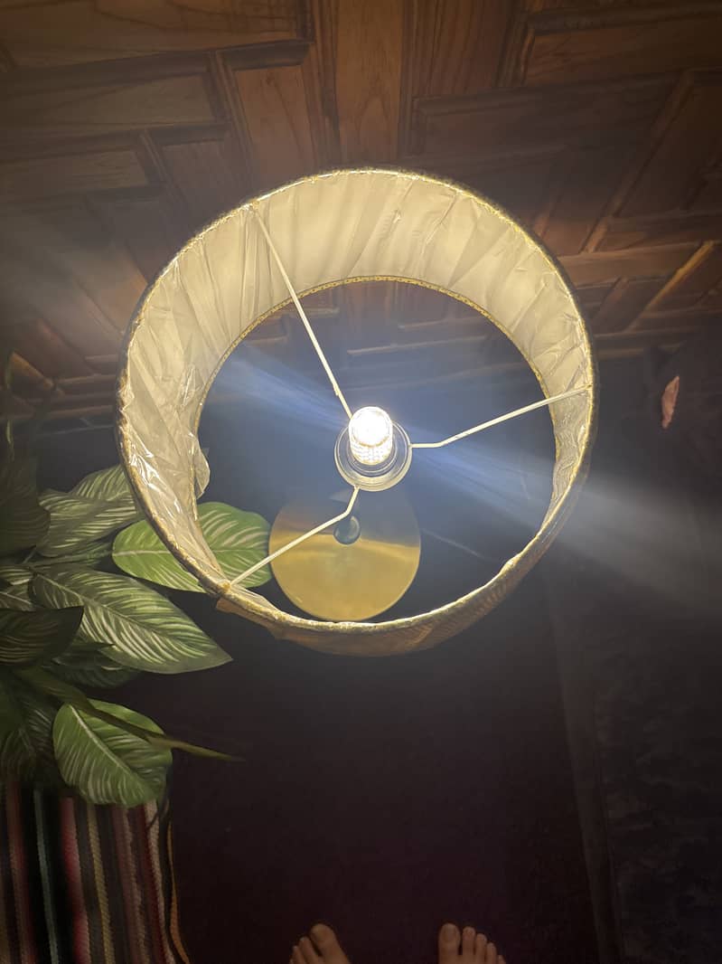 Imported lamp 4