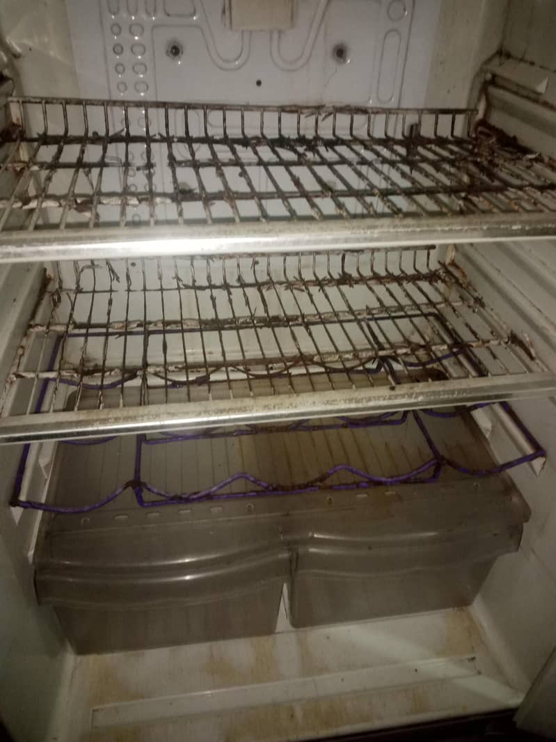 fridge 1