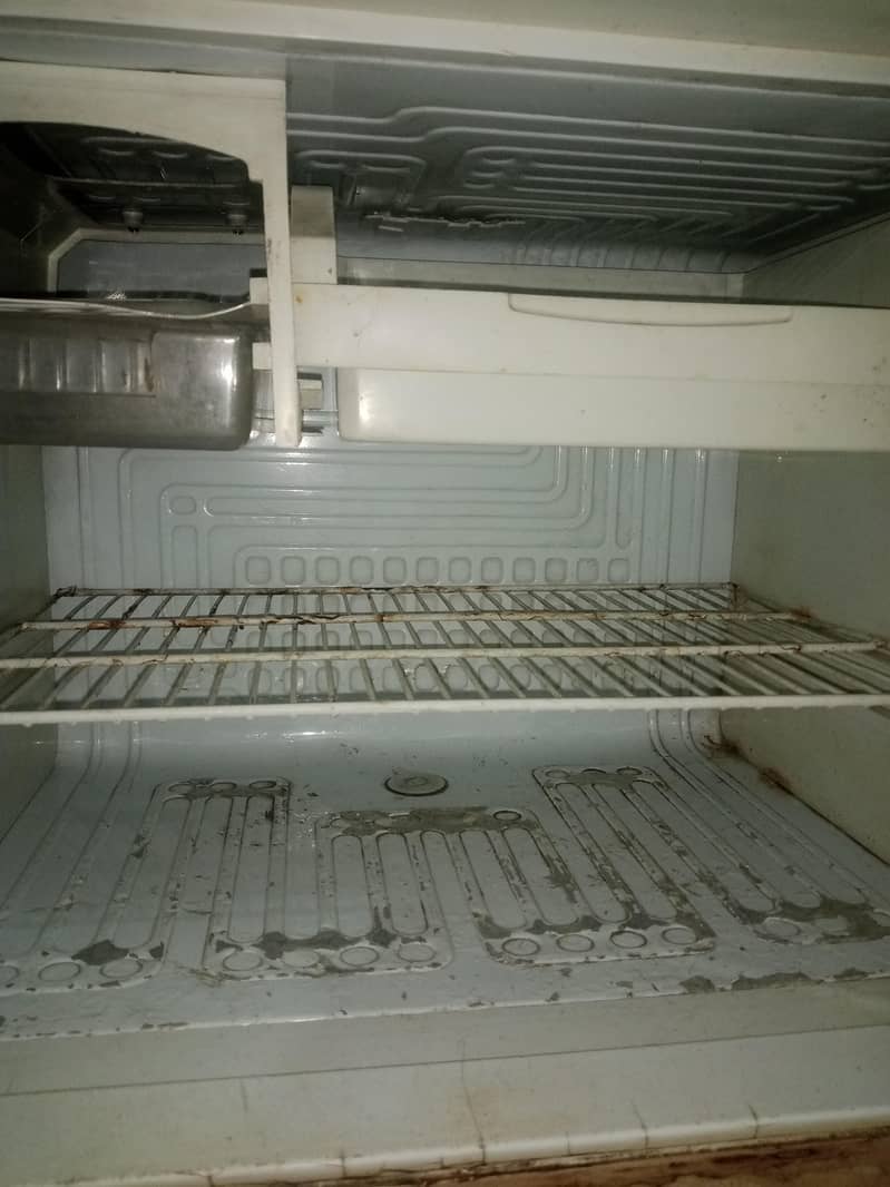 fridge 2