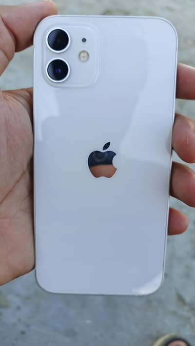 Apple iPhone 12/ 128GB / Exchange possible wts:03705433273