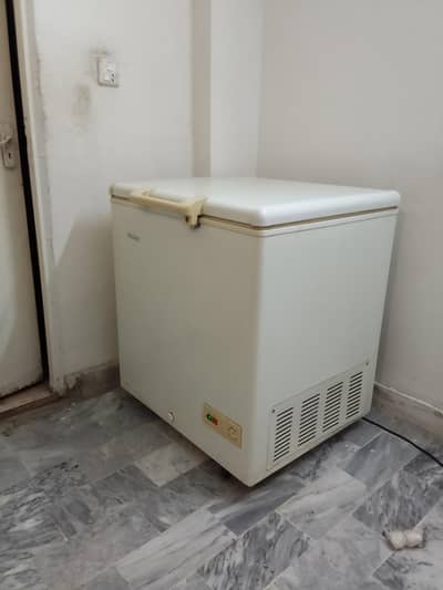 Haier single door freezer