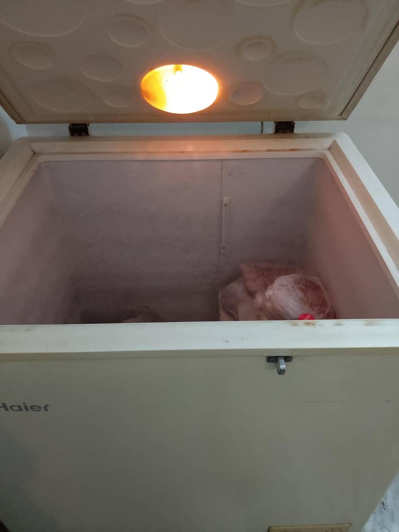 Haier single door freezer 1