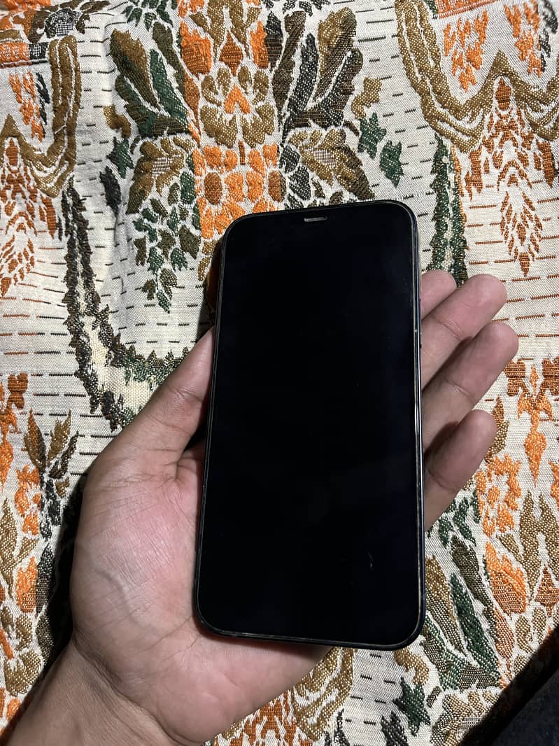 Apple iPhone 12 1