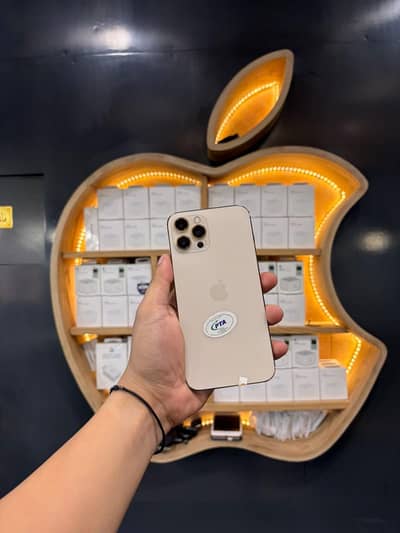 Apple iPhone 12 Pro Max