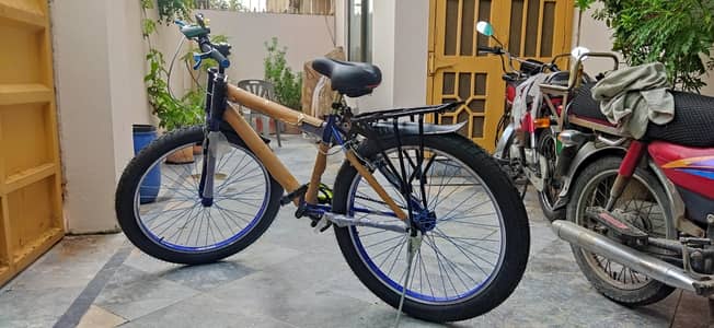 Brand new 0-meter Phoenix Fat-Tyre bicycle for sale with 5 year warrat