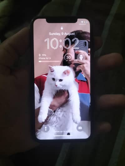 Apple iPhone X pta Approved