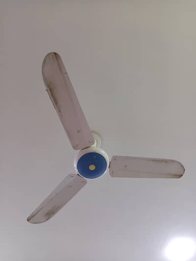 SK Low Voltage AC Ceiling Fans (3)