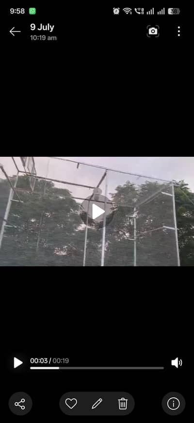 pigeon cage