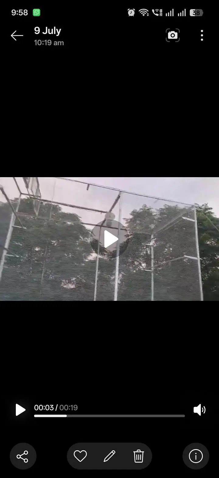 pigeon cage