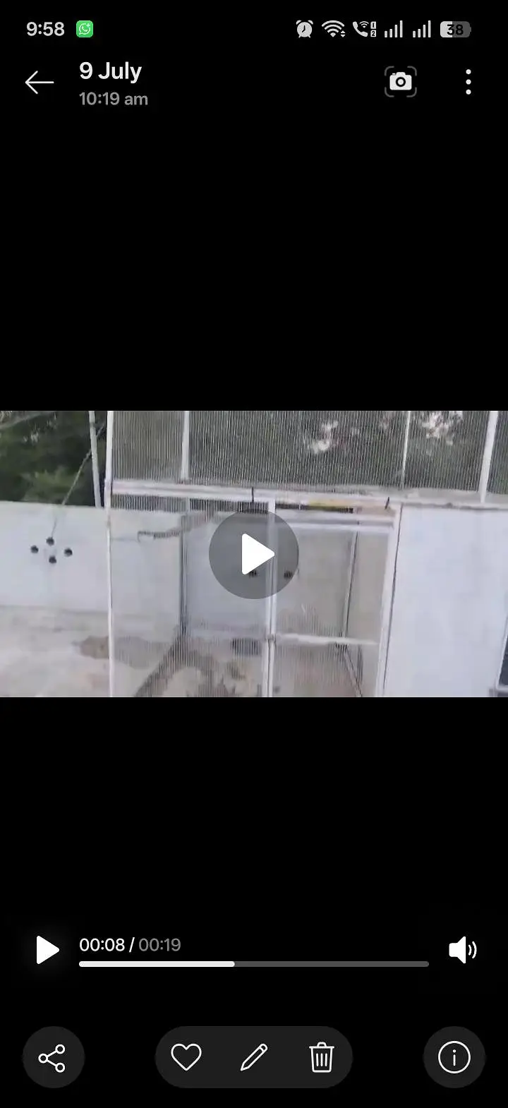 pigeon cage — photo 2