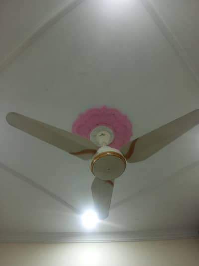 Dc Inverter Remote control fans available