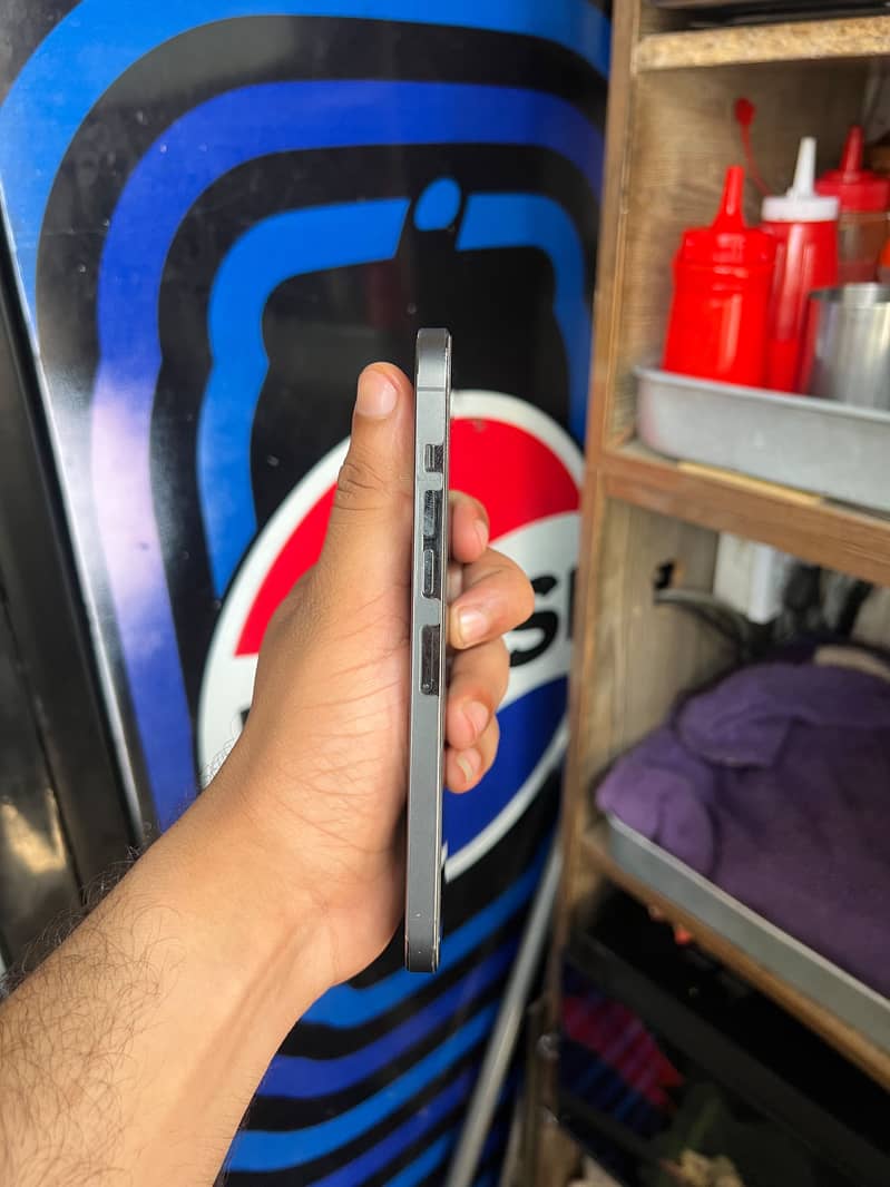 Apple iPhone 13 Pro Max 3
