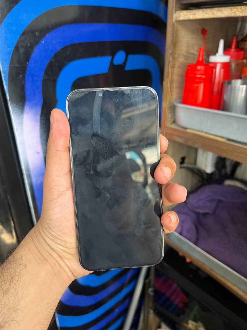 Apple iPhone 13 Pro Max 6
