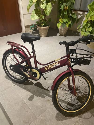 Brand new Cycle from bacha party