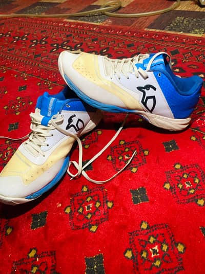 Original Kookaburra Cricket Spikes – Fast Bowler Shoes – Urgent Sale