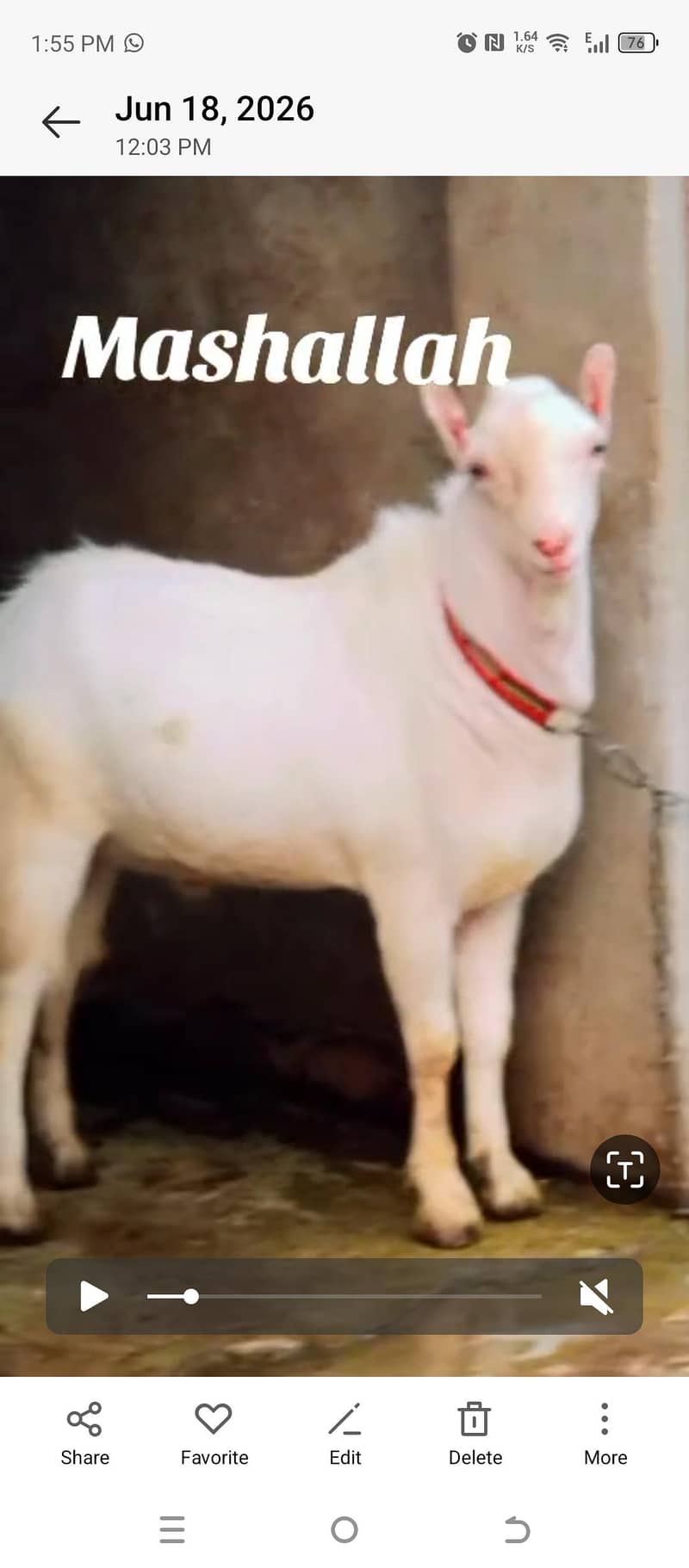 bakra 0