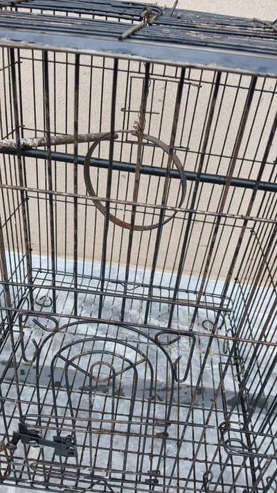 Bird Cage Heavy wire