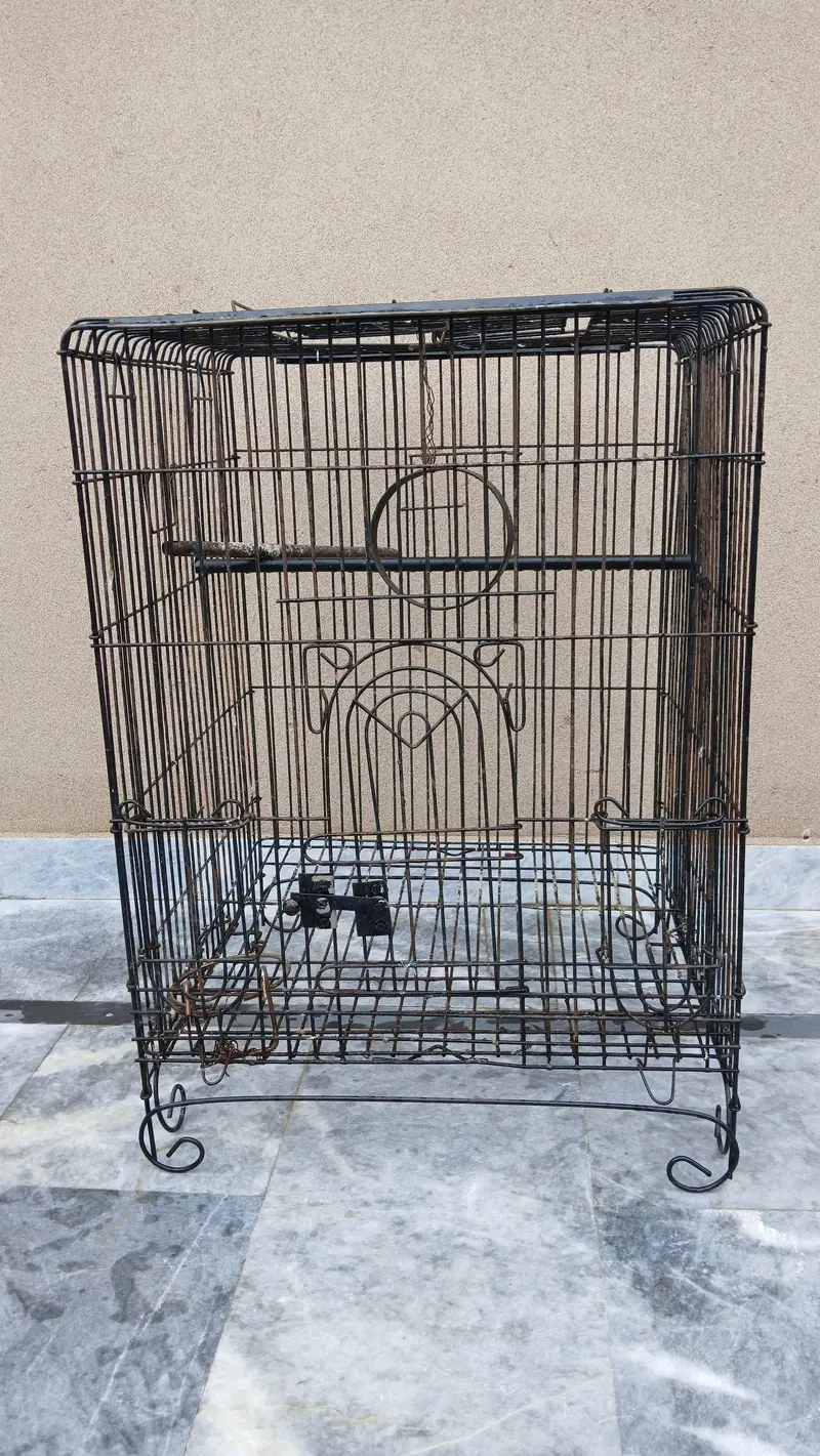 Bird Cage Heavy wire — photo 2