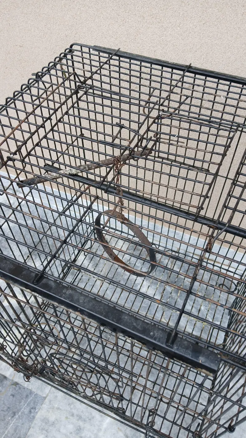 Bird Cage Heavy wire — photo 3
