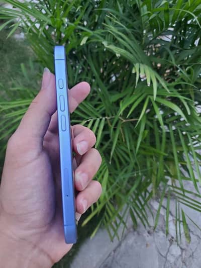 Apple iPhone 16 dual sim