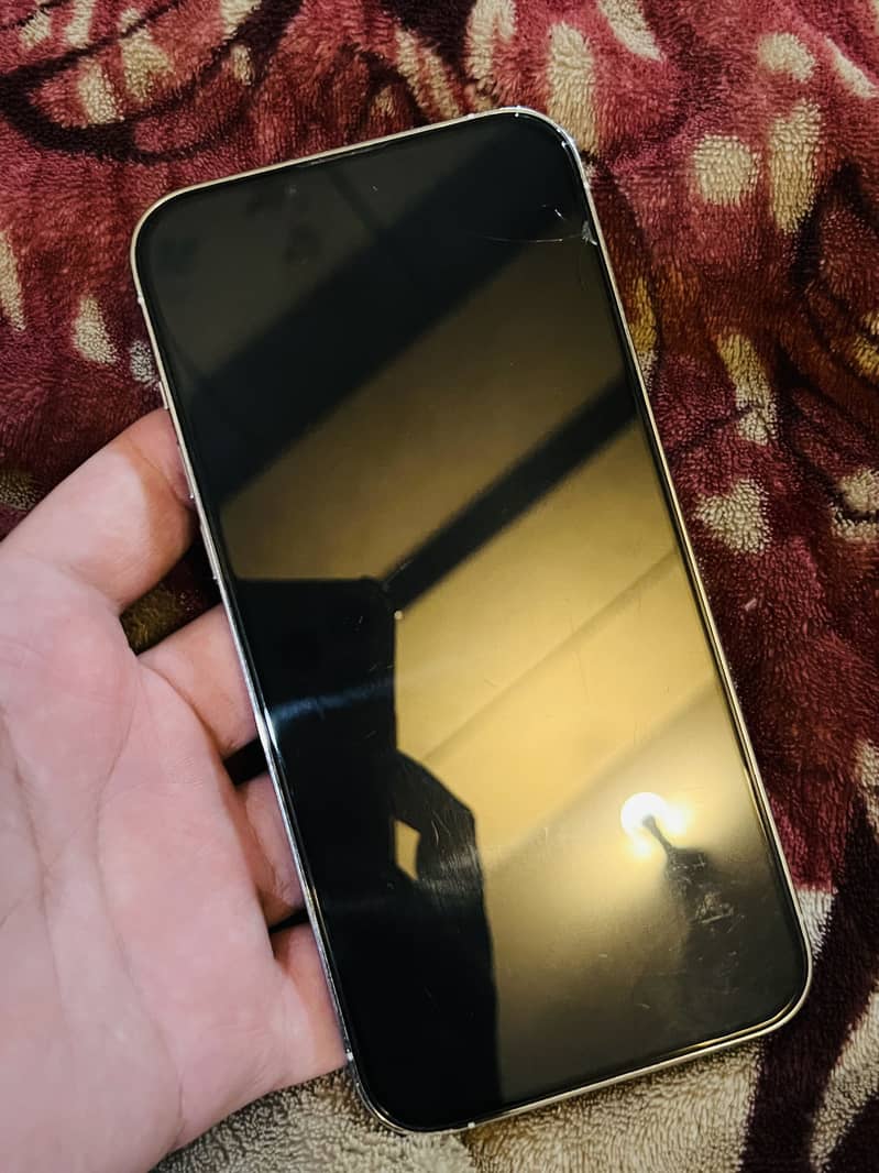 Apple iPhone 13 Pro Max 1