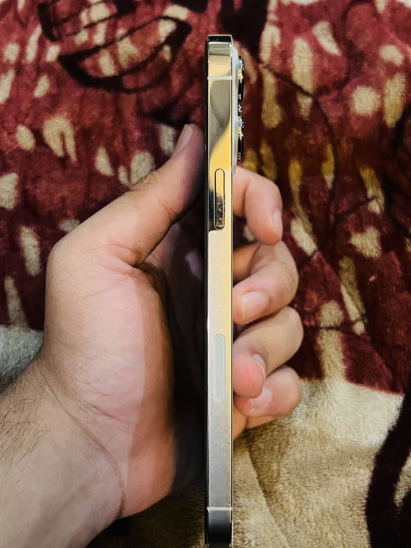 Apple iPhone 13 Pro Max 2