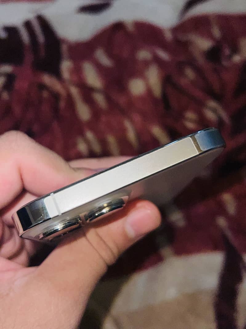 Apple iPhone 13 Pro Max 3