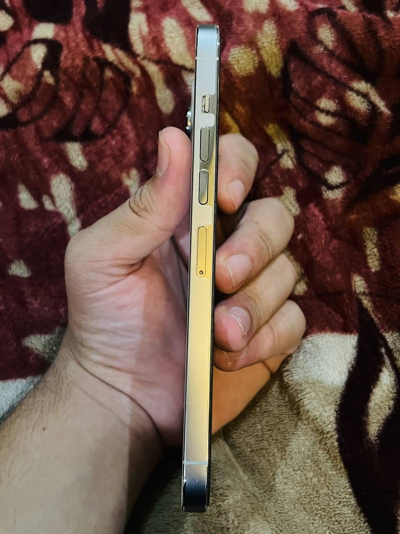 Apple iPhone 13 Pro Max 4