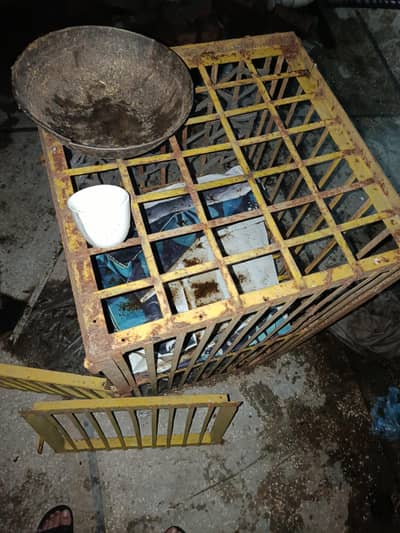 Cage for sale