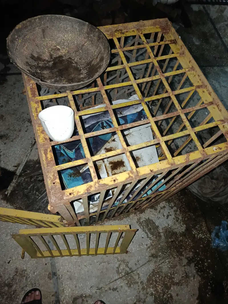 Cage for sale