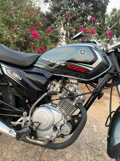 Yamaha 125Z-DX 2024 for sale