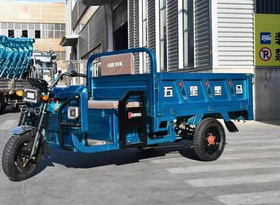 Electric Loader Rikshaw Jac/None Jac both