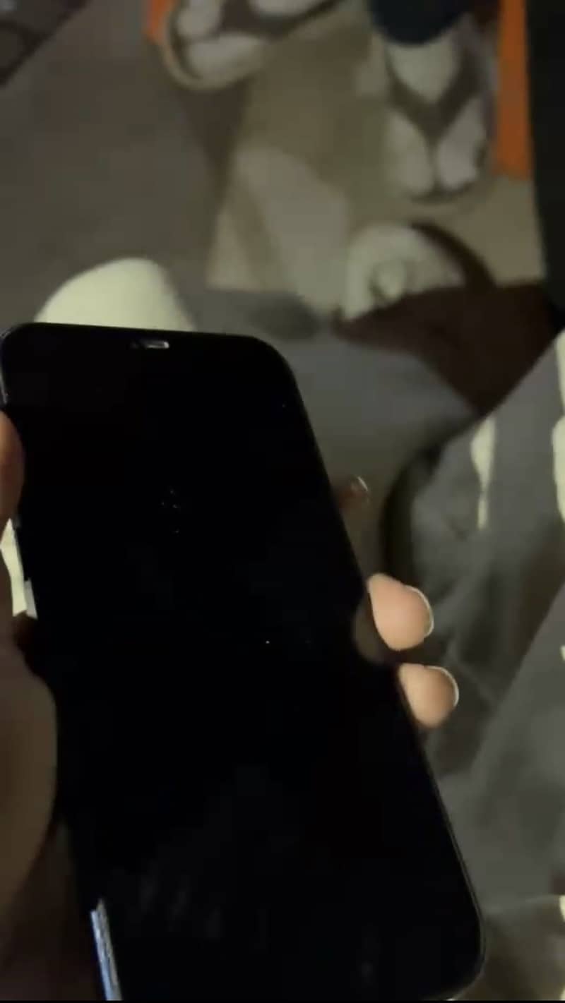 Apple iPhone 12 5