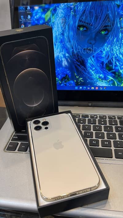 Apple iPhone 12 Pro