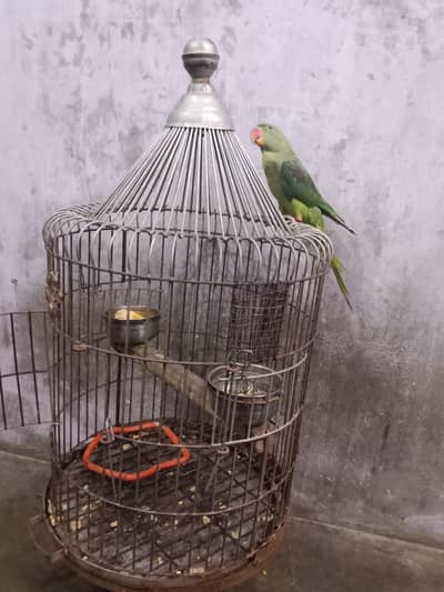 urgent sale karna hai